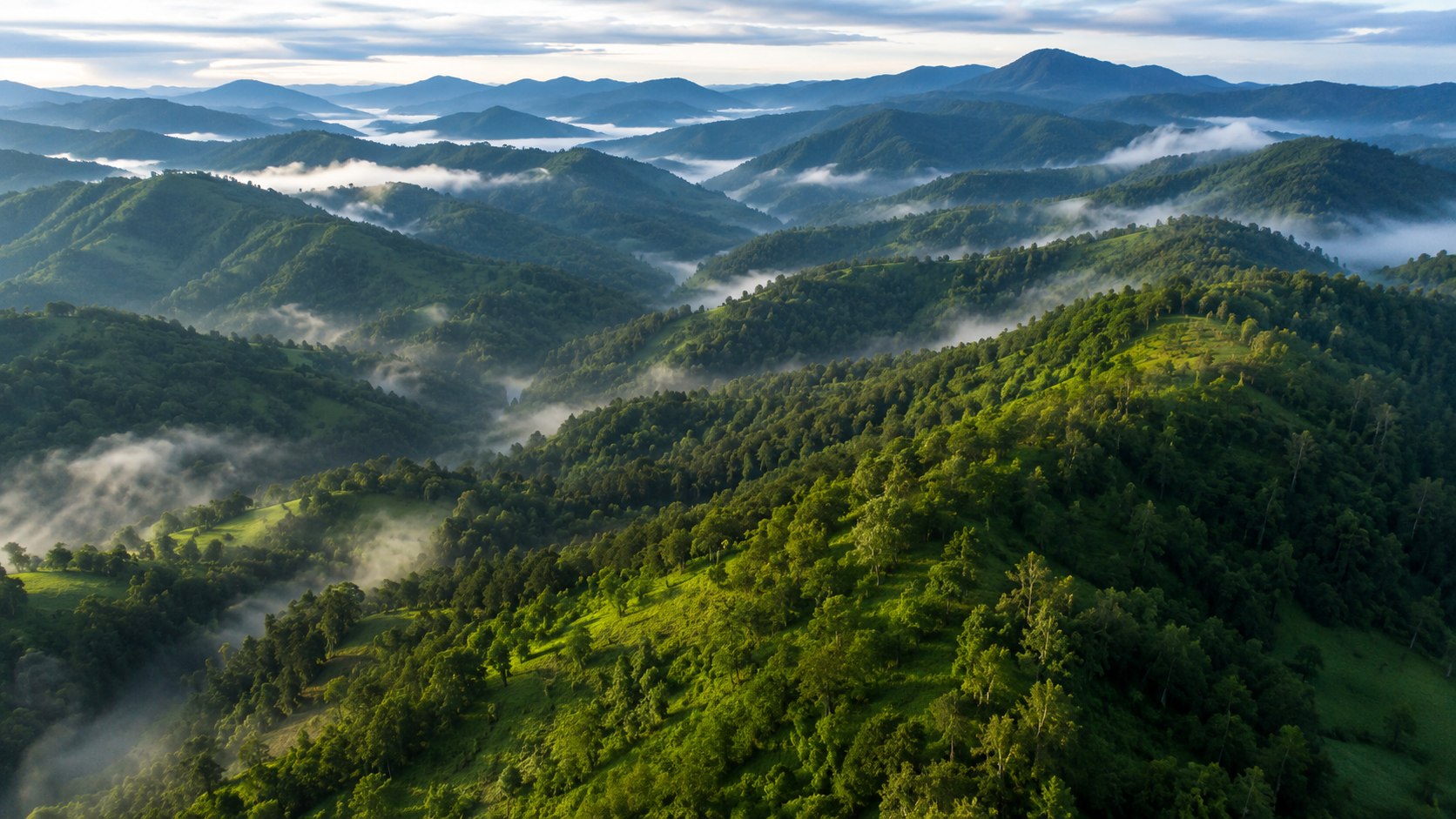 Misty aerial